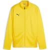 Jakna Puma teamGOAL Training Jacket Jr