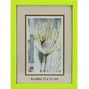 Karako Foto okvir 15x21 cm, plastika, namizni, stenski, 10-A zelen