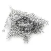 Stabiliziran Ruscus - (Ruscus) - Beljen mat