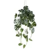 Veštačka Biljka 80cm Splitphilodendron