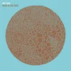 Hot Chip - Made In The Dark (Reissue) (Gatefold Sleeve) (2 LP)