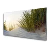 tulup.si Slika na akrilnem steklu Pesek grass landscape 120x60 cm 4 obešalnika