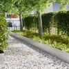 Ograda oko Travnjaka 20 pcs Srebrno 100 x 0,05 x 30 cm
