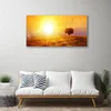 tulup.si Slika na platnu Sunset meadow ptice 100x50 cm