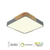 Plafonska lampa F2812-20C SV + DW