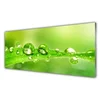 tulup.si Slika na akrilnem steklu Rastlina leaf dew drops 125x50 cm 4 obešalnika
