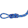 Mammut 9.0 Alpine Sender Dry Rope Dry Standard Ice/Sunrise 30 m