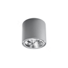 Sollux SL.0696 - Spot svetiljka TIUBE 1xGU10-AR111/10W/230V