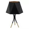Stona lampa FK7013-1T