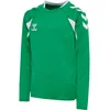 Otroški dres z dolgimi rokavi hmlCORE 2.0 JERSEY L/S KIDS