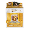 HARRY POTTER MINI FIGURICE V OKVIRJU