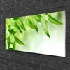 tulup.si Slika na steklu Green leaves narava 125x50 cm 2 obešalnika