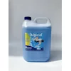 DIASA Algidid - sredstvo protiv algi 5L