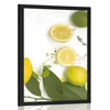 Plakat mix limone - 30x45 white