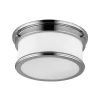 Feiss FE-PAYNE-F-BATH - Plafonsko svetlo za kupatilo PAYNE 2xE27/60W/230V IP44