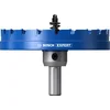 Bosch Testera za otvore sa osovinom Expert Sheet Metal 2608902023, 110x5mm