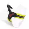 Paws & Whiskers Am za pse V-Harness, Žuti