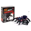 Super Tarantula RC
