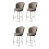 Hanah Home Set barskih stolica Alte, 4 komada, Bež