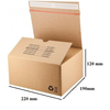 Škatla paketna samolepilna sendbox 220x190x120mm s22