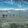 The Yearlings - Skywriting - Special Limited Edition Crate (LP)
