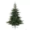 Novogodišnja jelka Grandis fir 240 Everlands 68.1453