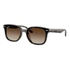 Ray-Ban Naočare za sunce RB 4461D 710/13