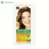 FARBA GARNIER COL.NATURALS 6.34 (12) LOREAL