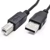 Kettz U-K5001 5m Print Kabl USB A-M/B-M