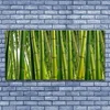 tulup.si Slika na steklu Bamboo poganjki bamboo forest 140x70 cm 2 obešalnika