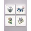 Home Gallery Set od 4 uramljene slike Cveće sa pticama 23x23cm