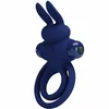 Pretty Love Darey Blue Duo Vibrating Intimate System - 10 Modes, Rabbit Shape D-240082