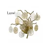LUNA 214 zidna lampa 2*G9 bronza (9881)