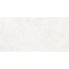 Bascal Bone 30,4x60,8