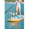 Aqua Marina PA-25366 pure air tropic 366 blue - isup