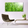 tulup.si Slika na akrilnem steklu Narava grass drops 140x70 cm 4 obešalnika