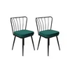 Hanah Home Set stolica Yildiz-951 V2, 52x59x50.5 cm, 2 komada, Zelene
