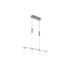 Eglo 32872 - LED luster na sajli BORRIOL 4xLED/4,5W/230V