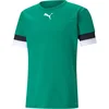 Puma Dres teamRISE Jersey