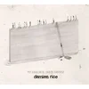 Damien Rice - My Favourite Faded Fantasy (45 RPM) (2 LP)