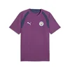 PUMA Manchester City Slim Training Jersey Men, Sport, Plum Wine/Blue Jewel, S