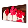 tulup.si Steklena slika Red flowers stones 125x50 cm 4 obešalnika