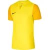 Dres Nike M NK DF TROPHY V JSY SS