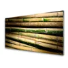 tulup.si Slika na akrilnem steklu Bamboo rastlin narava 125x50 cm 2 obešalnika