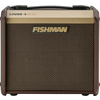 Fishman Loudbox Micro