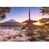 Ravensburger Puzzle (slagalice) - Pogled na cvet trešnje Fuji