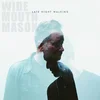 Wide Mouth Mason - Late Night Walking (Limited Edition) (LP)