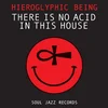 Hieroglyphic Being - There Is No Acid In This House (2 LP)