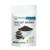 Shilajit Mumio u prahu 100g We are one