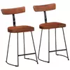 Vidaxl vidaXL Barski stoli 2 kosa 49x43x79 cm masiven mangov les